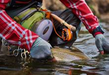 Review: R. L. Winston Boron IIIx Super 10 fly rod | Hatch Magazine